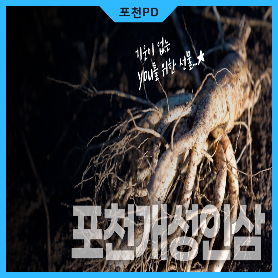 개성인삼농업협동조합하나로마트 이미지