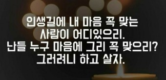 시절인연 이미지