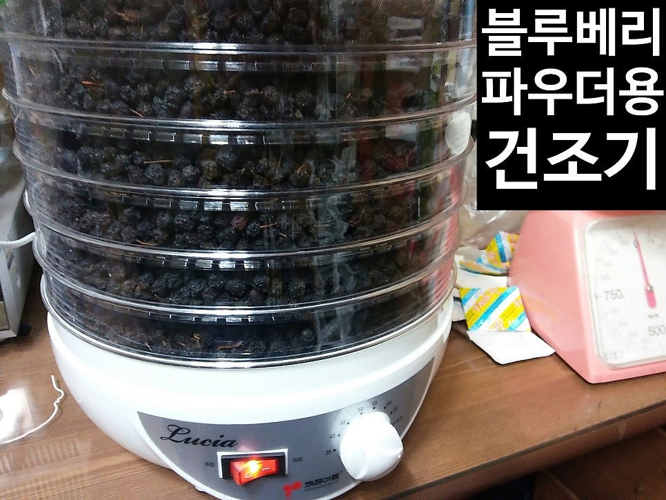수동공판장 이미지