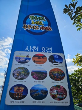 팔포실비 이미지