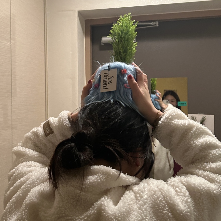 티르르 이미지