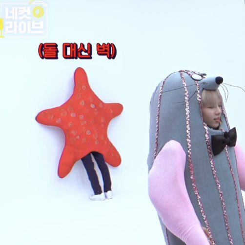 머리바꾸기 이미지