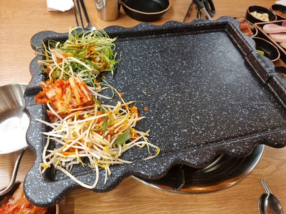 나돼지 이미지