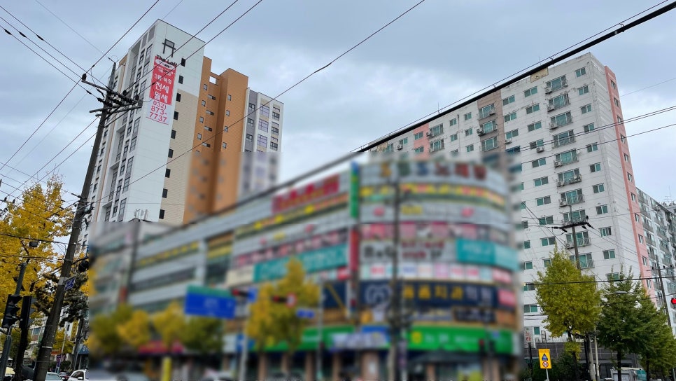 서일교정형외과 이미지