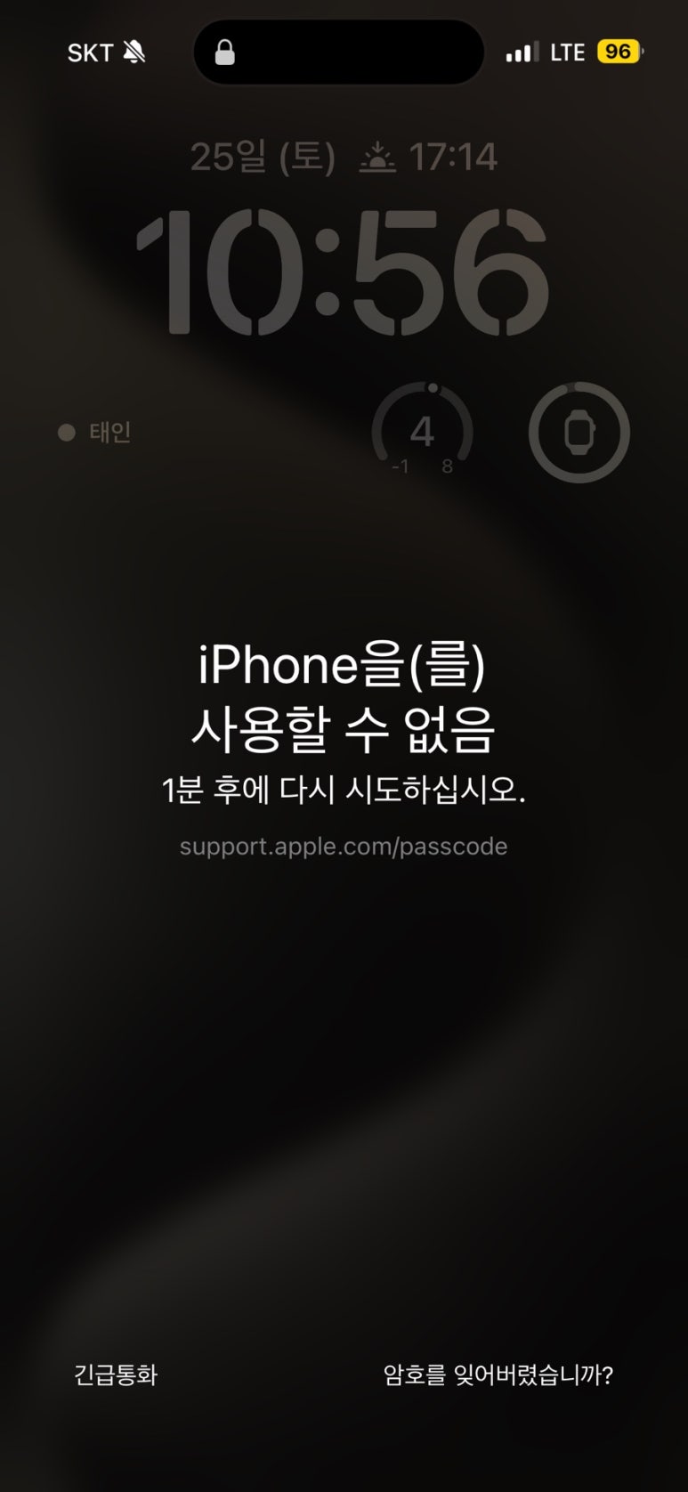 라인씨지 이미지
