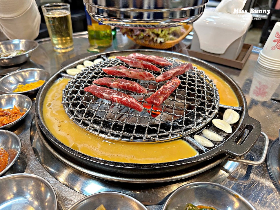돗배갈매기 이미지