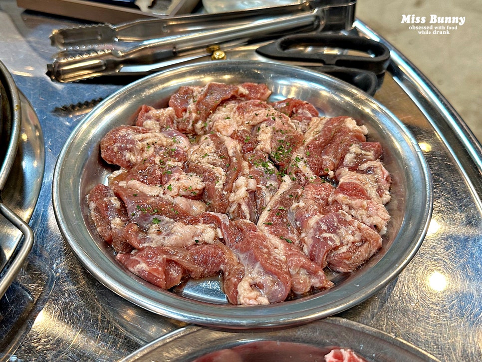 돗배갈매기 이미지