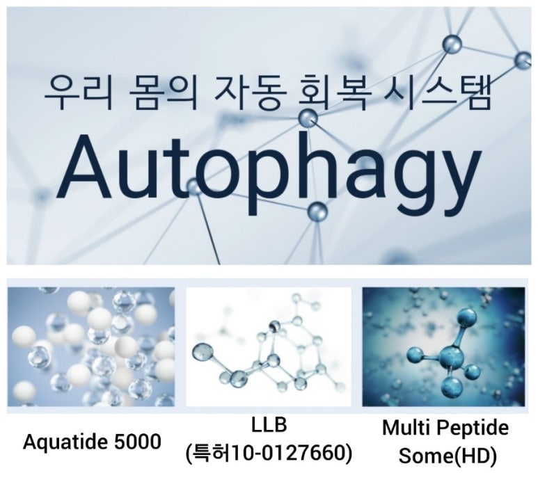 샤르네 이미지