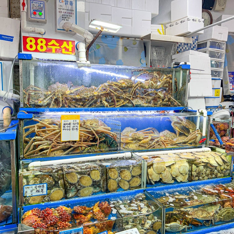 88수산 이미지