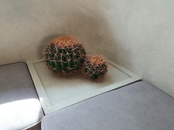 정원피아 이미지
