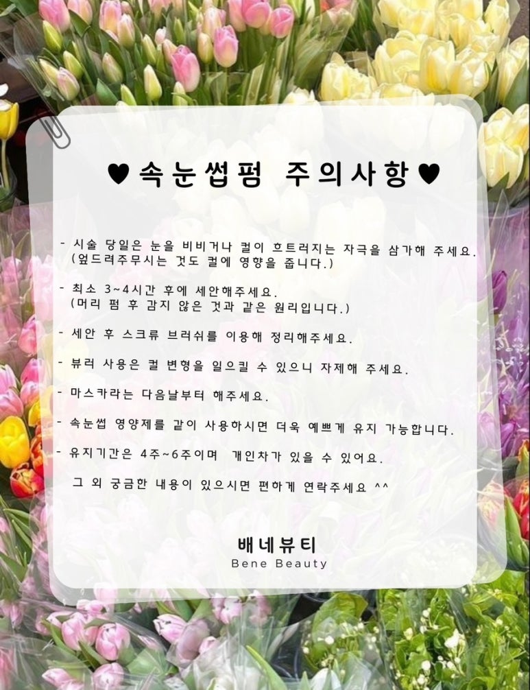 달콤한속눈썹 이미지