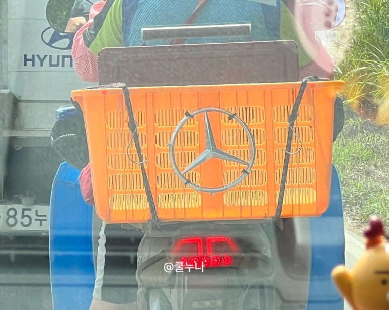 유지되는다이어트캠프 이미지