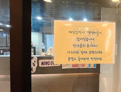 킹독 이미지