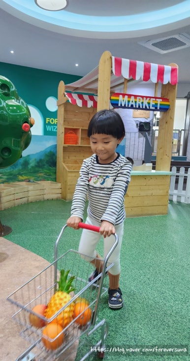 참창의숲 이미지