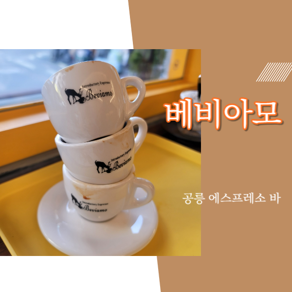 베비아모 이미지