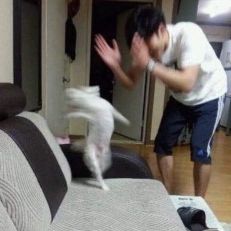 향수패션 이미지