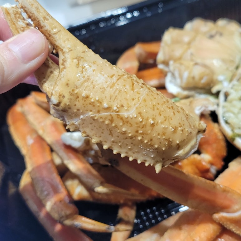 금이상회 이미지