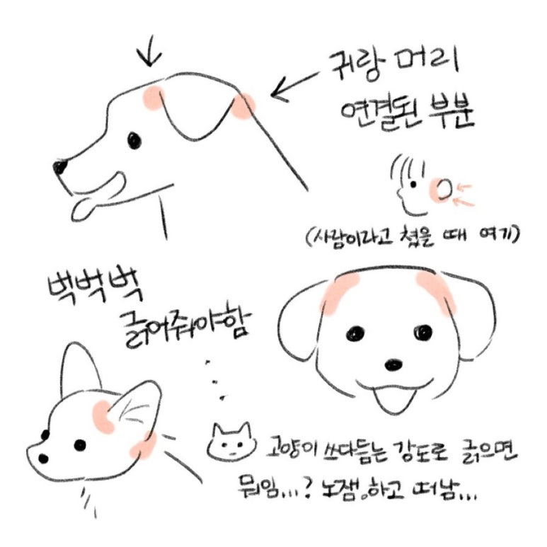감자마을 이미지