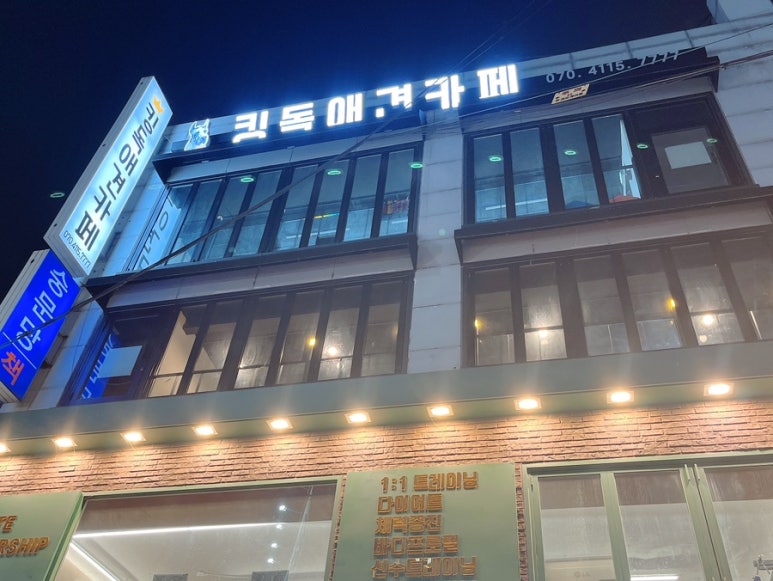 킹독 이미지