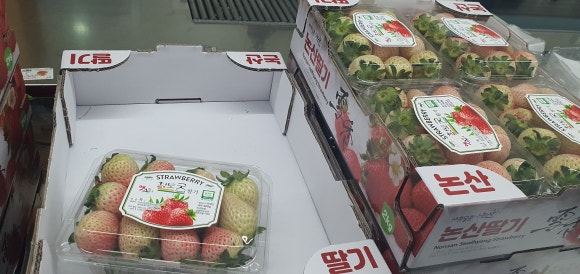 광석농업협동조합 이미지