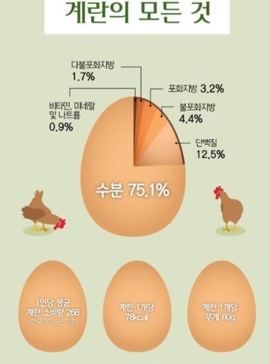 무지개 식품 이미지