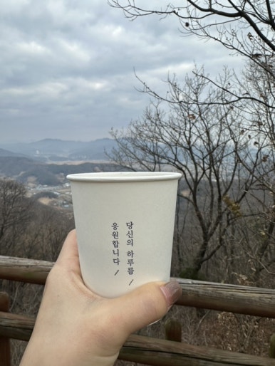 유부부세종 이미지