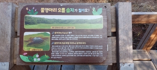 울타리손칼국수 이미지