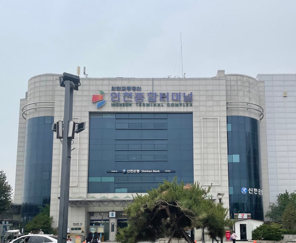 서일교정형외과 이미지