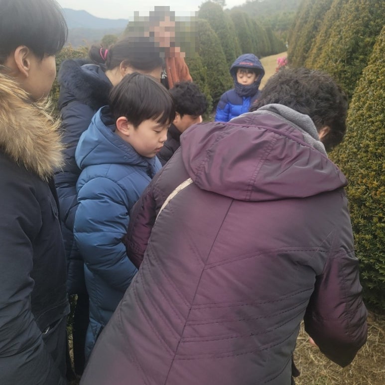 다와파전집 이미지