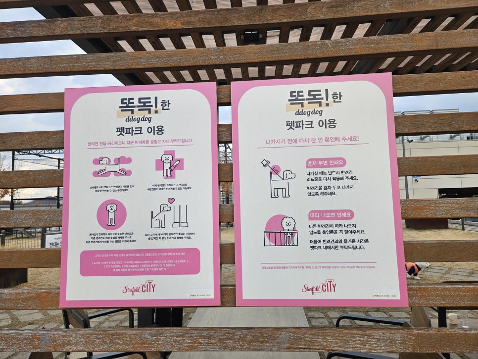 부천 스타필드 강아지 동반 쇼핑몰: 8층 애견 운동장 이용 후기 — 사진 3