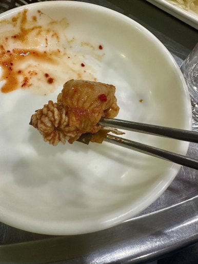 송정꼬리치는산곰장어 이미지