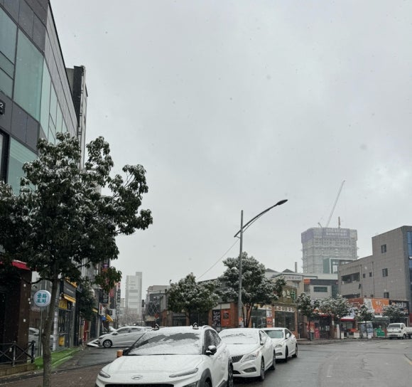 우리집왕만두바지락칼국수 이미지