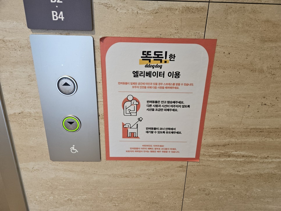 부천 스타필드 강아지 동반 쇼핑몰: 8층 애견 운동장 이용 후기 — 사진 10