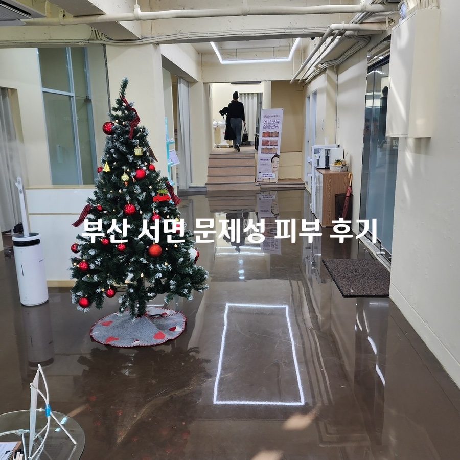 피부살리기 이미지