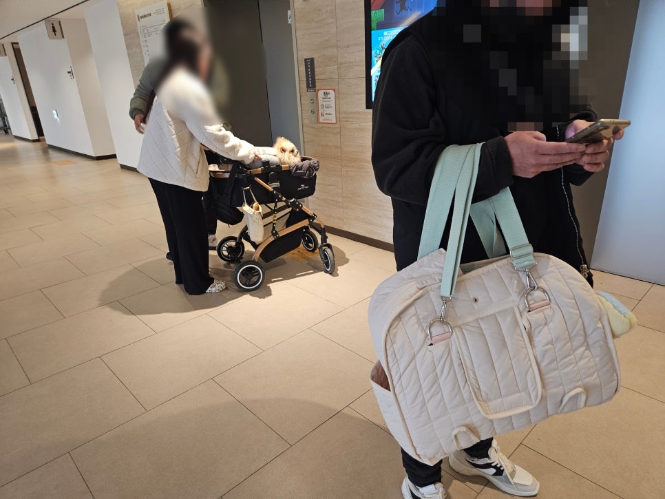 부천 스타필드 강아지 동반 쇼핑몰: 8층 애견 운동장 이용 후기 — 사진 11
