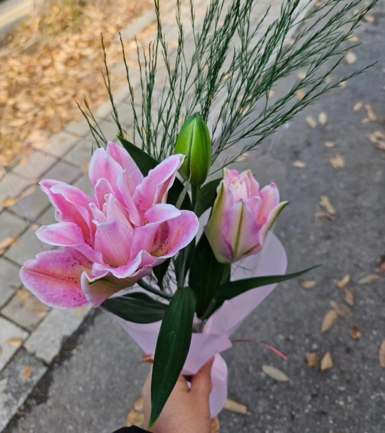 로사리아꽃화원 이미지