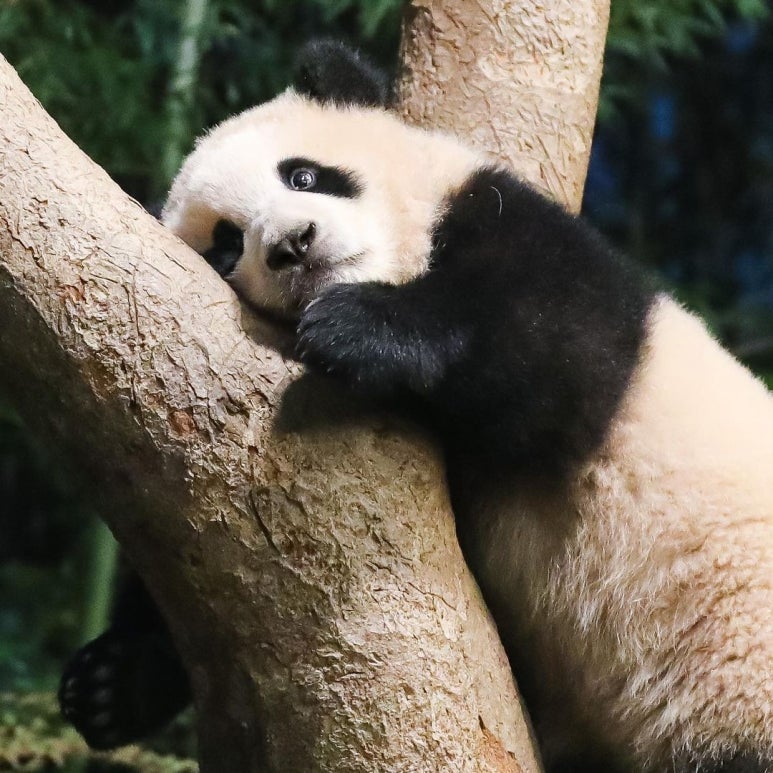 마름달 이미지