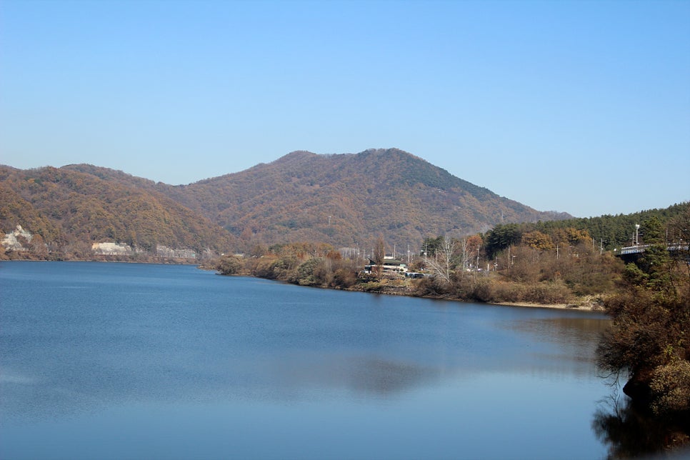 파스쿠찌대전 이미지