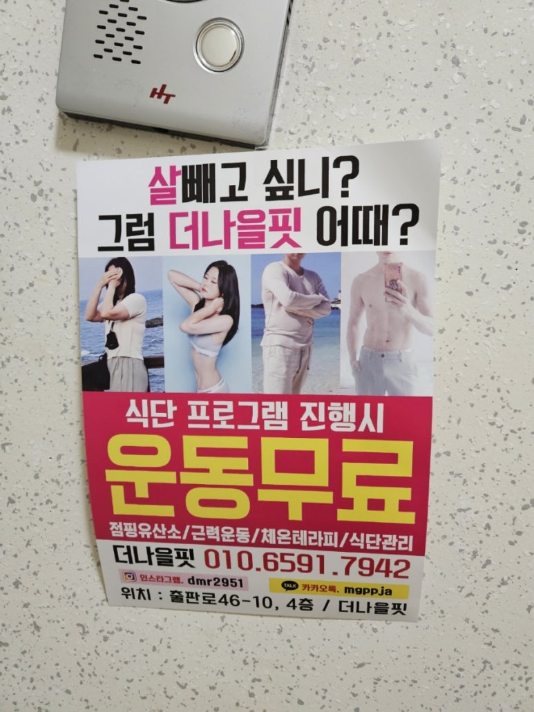 핑다이어트 이미지