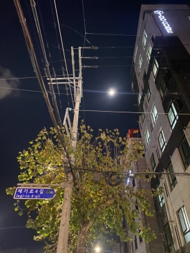 결찌 이미지