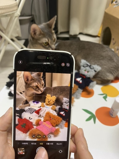 바다회일번지 이미지