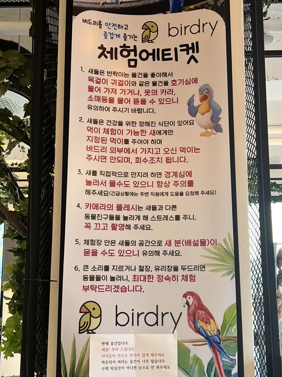 버드리전주 이미지
