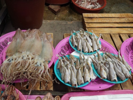 할매반건조생선 이미지
