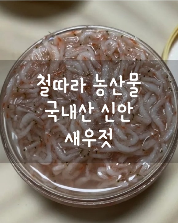 철따라 이미지