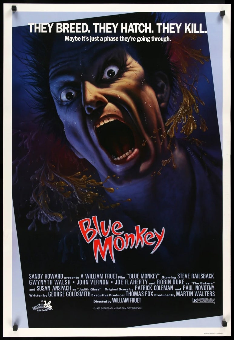 블루몽키(BLUE MONKEY) 이미지
