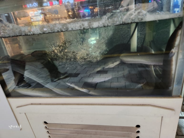 일품 활 민물장어 이미지