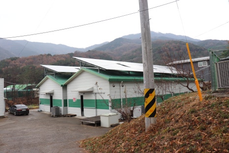 (주)도담투어 이미지