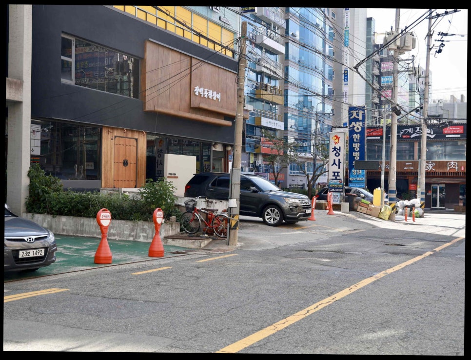 풍천강장어 이미지