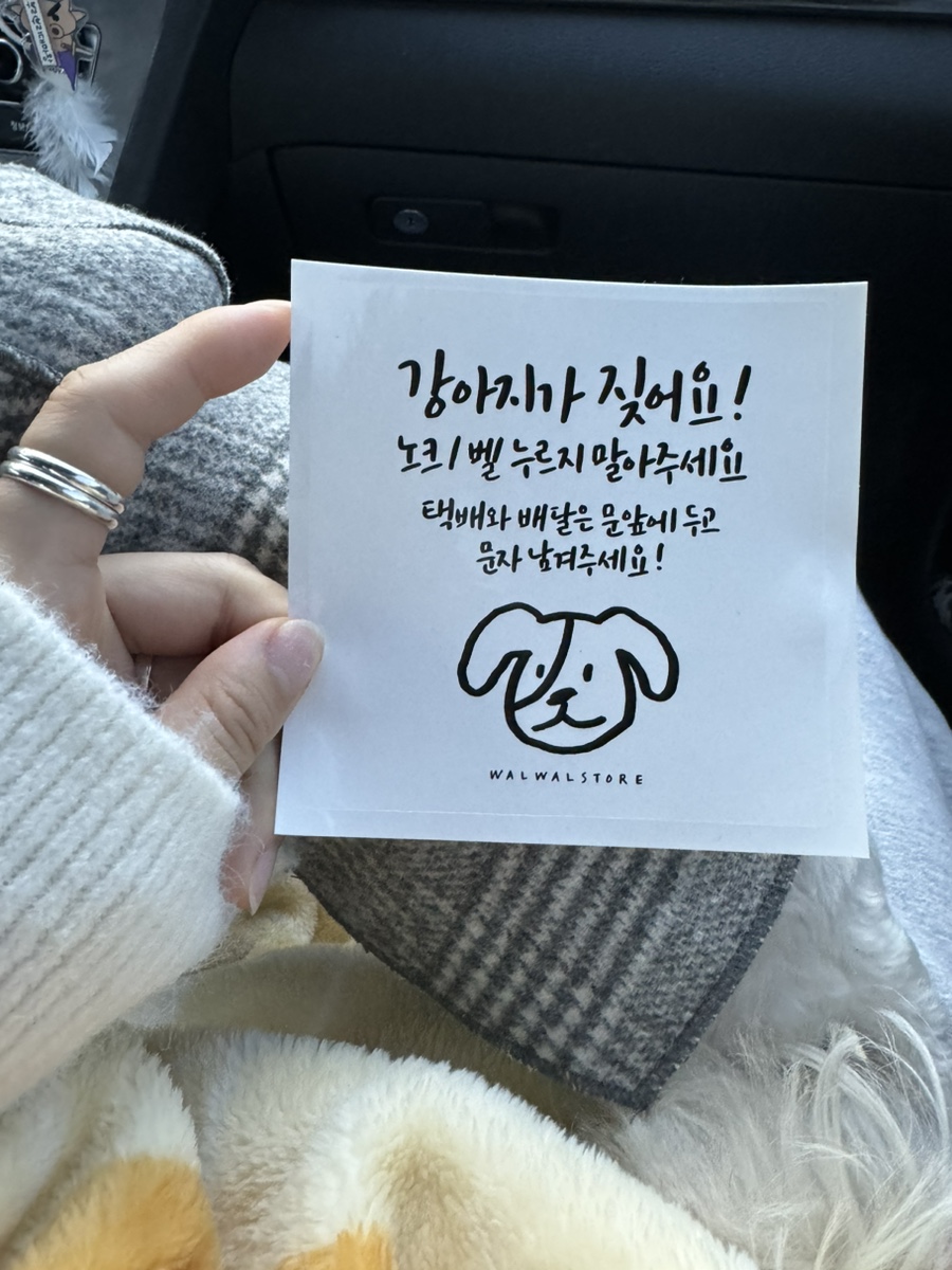 독독!개세요? 이미지