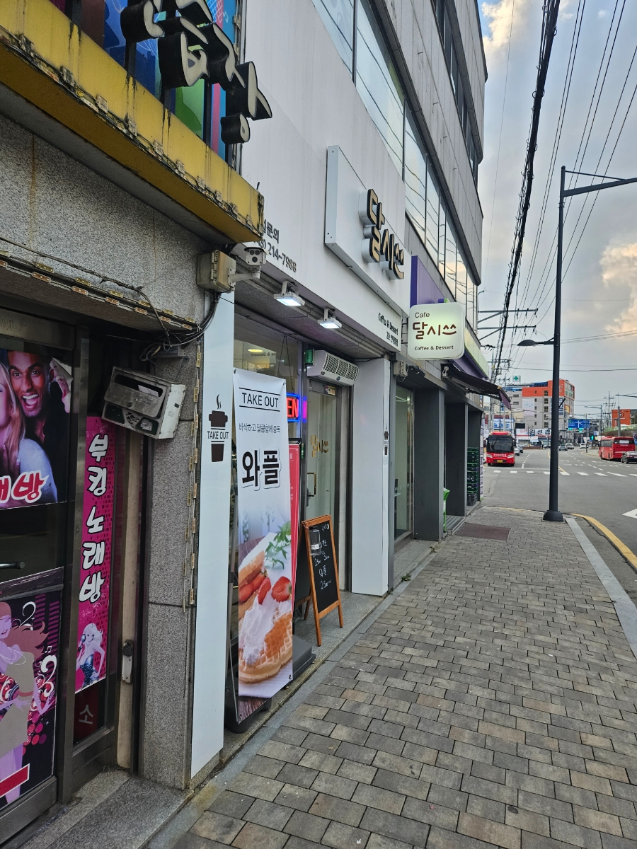 달시쓰 이미지